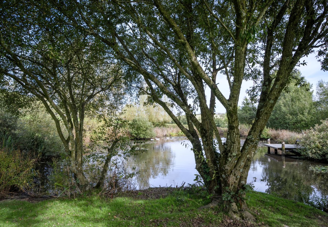 Landhaus in Bideford - Willow Tree Barn
