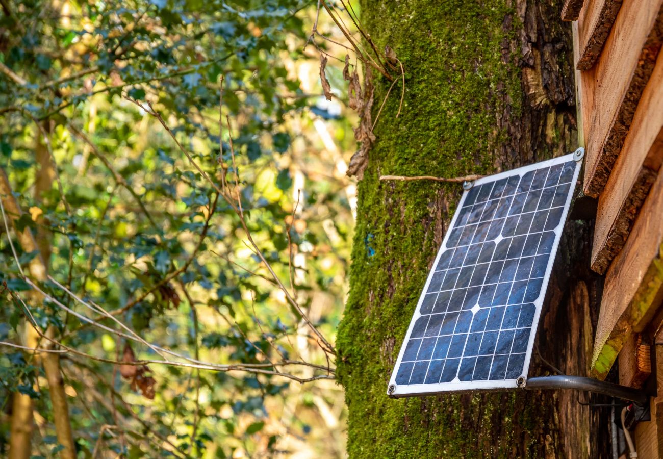 Vakantieboerderijen in Germansweek - Yeworthy Eco-Treehouse