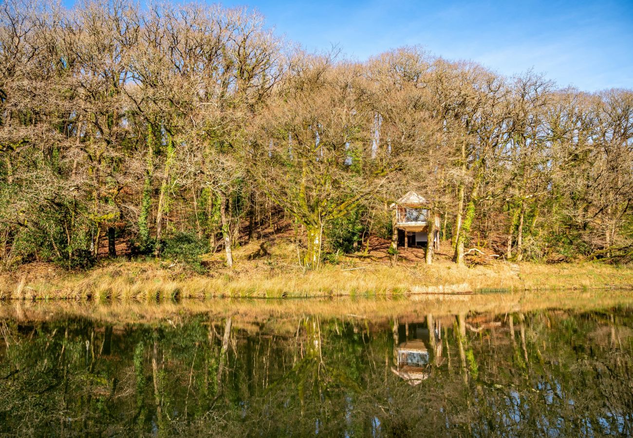 Vakantieboerderijen in Germansweek - Yeworthy Eco-Treehouse