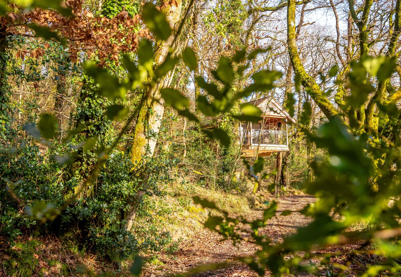 Vakantieboerderijen in Germansweek - Yeworthy Eco-Treehouse