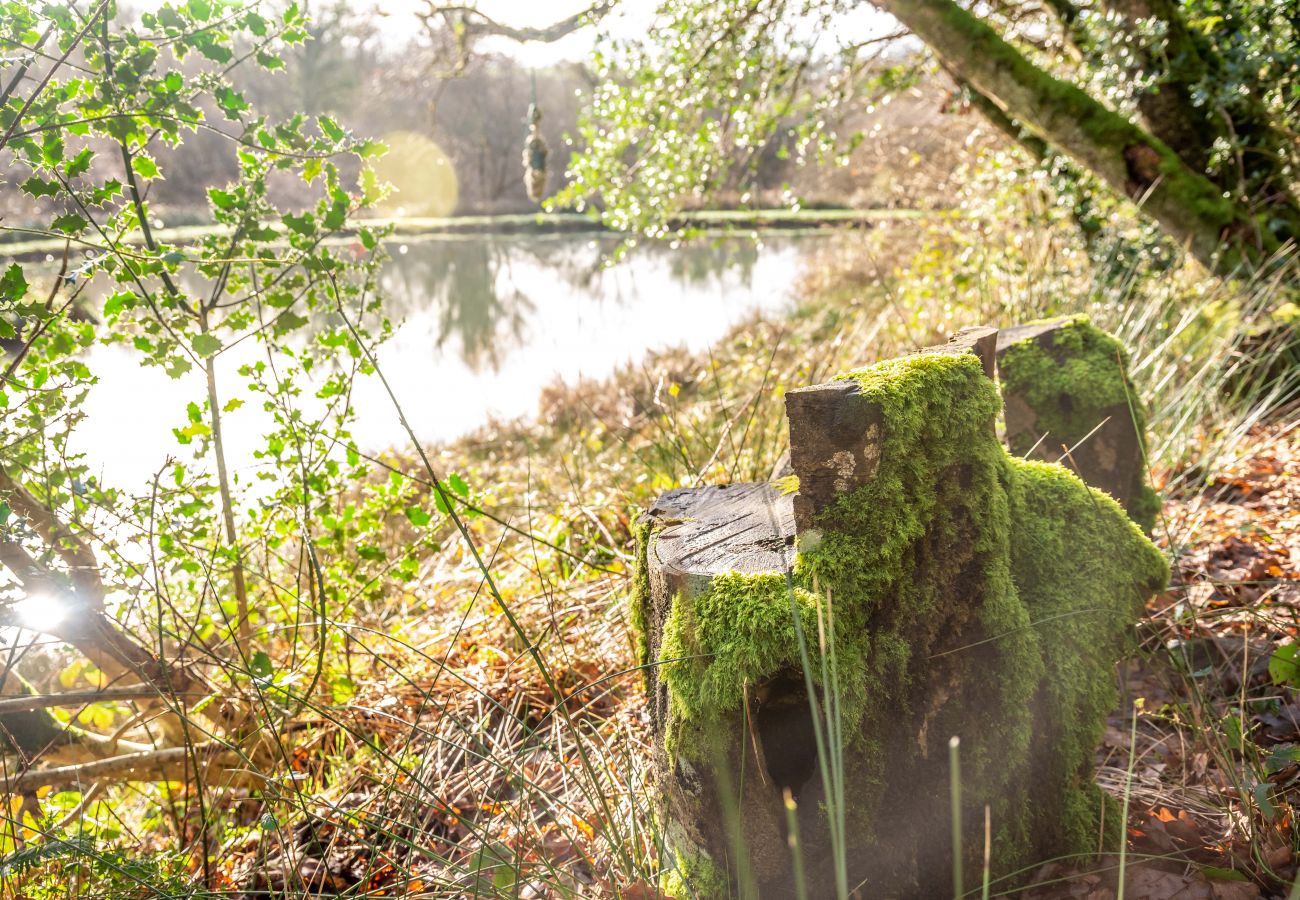 Vakantieboerderijen in Germansweek - Yeworthy Eco-Treehouse