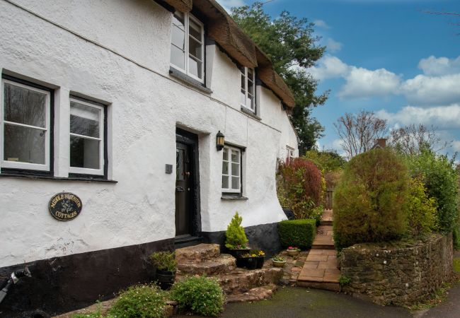 Cottage in Alcombe - Little Haven