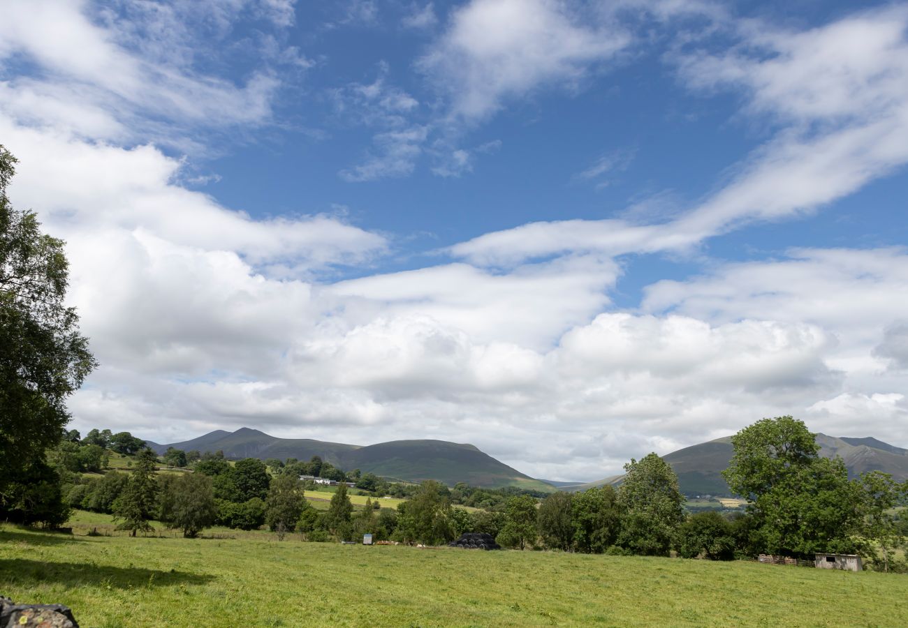 Cottage in Braithwaite - The Duck House