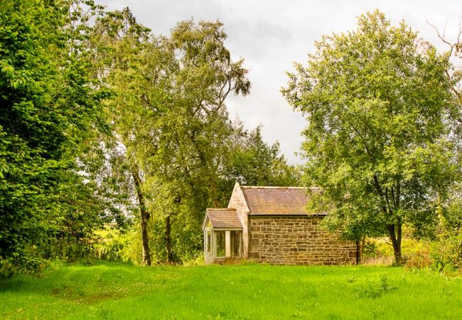Cottage in Belsay - The Cottage, Shortflatt Farm