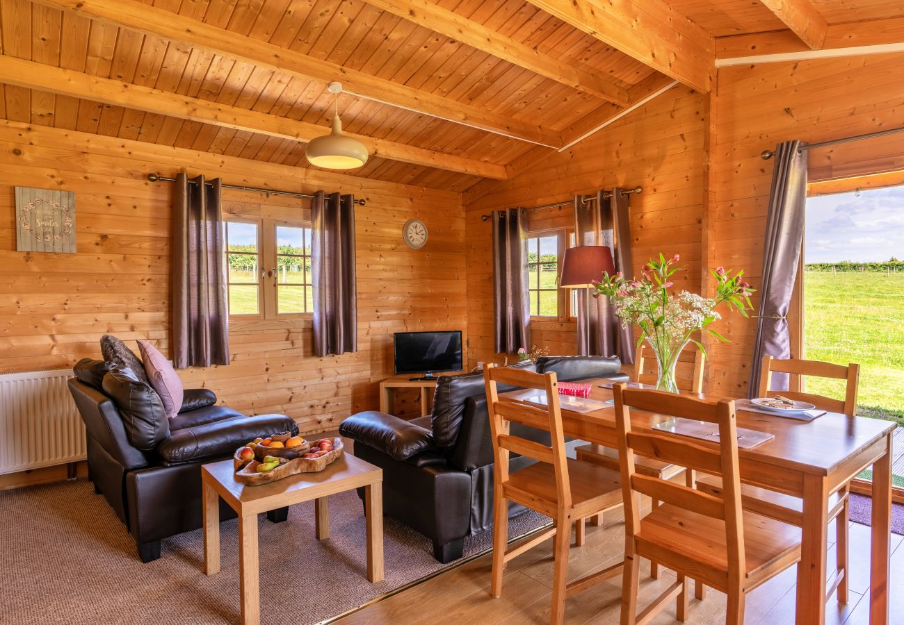 Vakantieboerderijen in Okehampton - Moor View Cabin