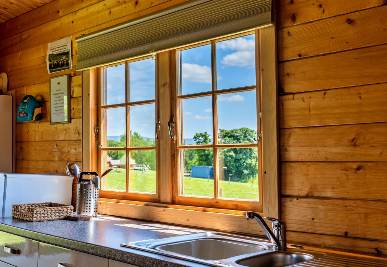 Vakantieboerderijen in Okehampton - Moor View Cabin