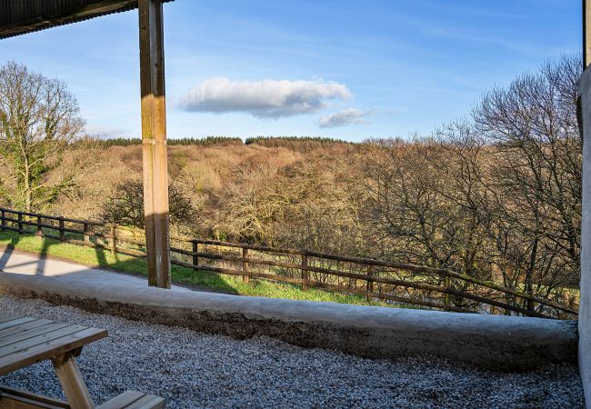 Vakantieboerderijen in Beaworthy - The Shepherd's Hut at Northcombe Farm