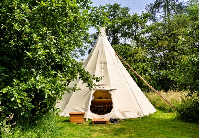 Villa in Hereford - 'Pippin' - Luxury Tipi Glamping