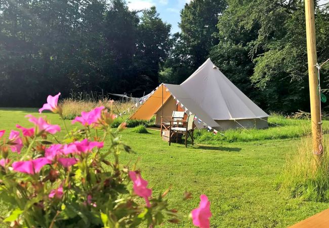 Chalet in Swannington - Meadow Glamping Tents Chalet in Swannington - Meadow Glamping Tents