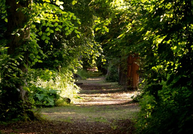 Chalet in Woolton Hill - Moroccan Bell Tent Chalet in Woolton Hill - Moroccan Bell Tent