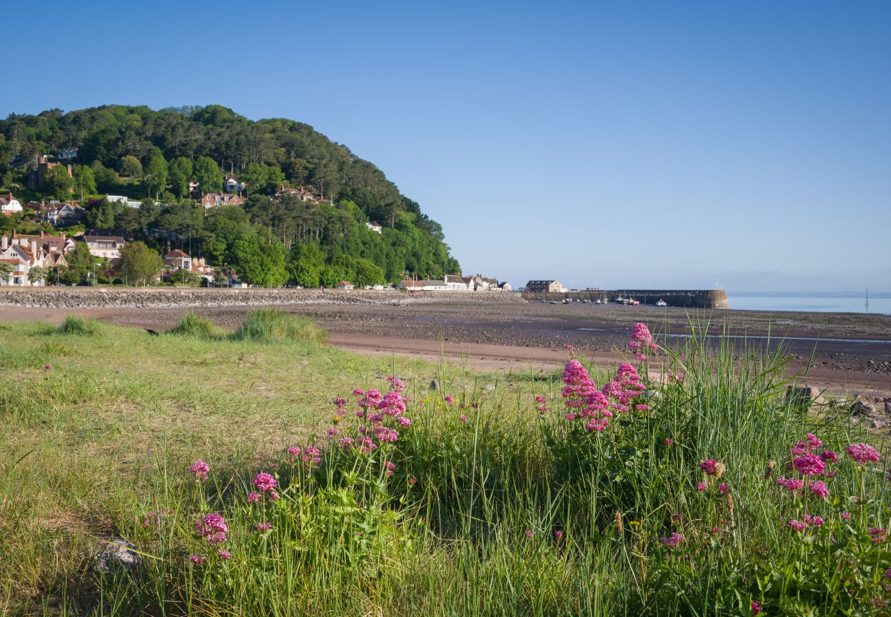 Huis in Minehead - Hillview House