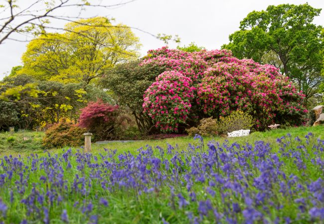 Finca in Saltash - Historic Castle on River Tamar Finca in Saltash - Historic Castle on River Tamar