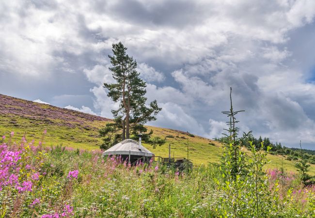 Chalet in Auchterarder - Bramble Yurt