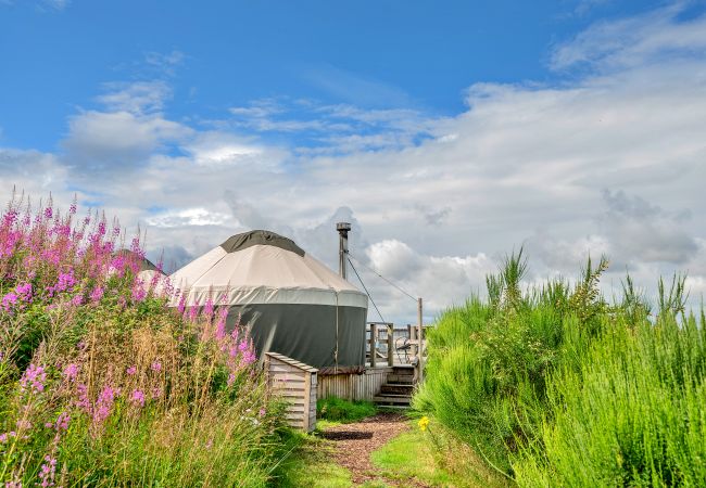 Chalet in Auchterarder - Bramble Yurt