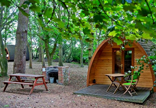 Chalet in Bury St Edmunds - Eadmund Pod