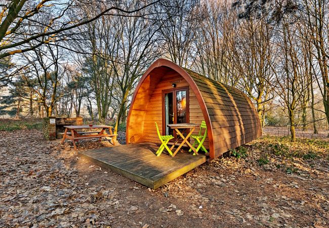 Chalet in Bury St Edmunds - Eadmund Pod