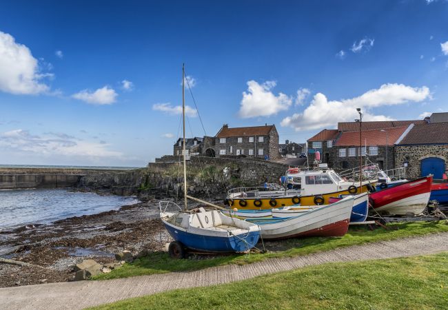 Huis in Craster - Harbour House