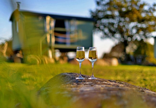 Chalet in Pwllheli - 'Angharad' Poachers Hut