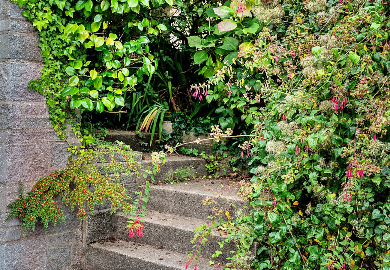 Cottage in Shaldon - The View