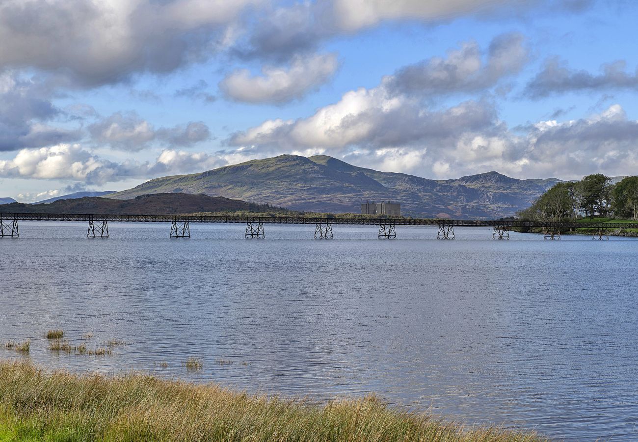 Houten huisje in Trawsfynydd - Mountain View