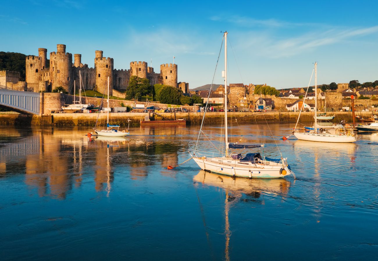 Cottage in Conwy - Hen Dafarn