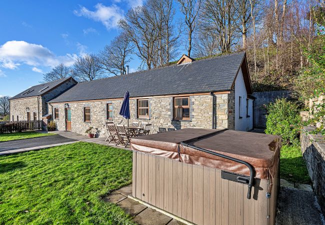 Cottage in Talybont - Eithinog