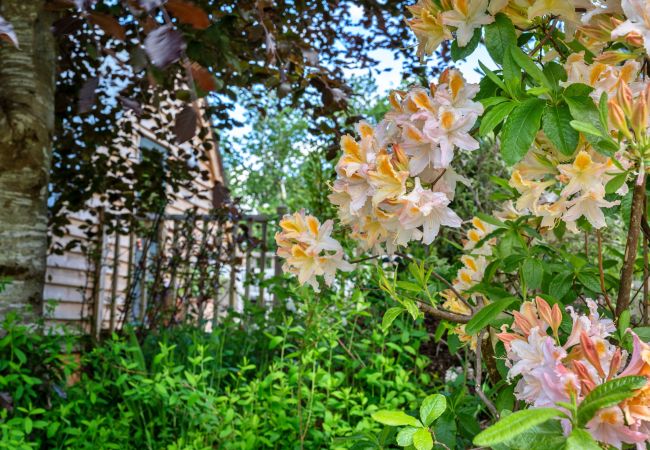 Studio in Muddiford - Dingles Farm Annexe Studio in Muddiford - Dingles Farm Annexe