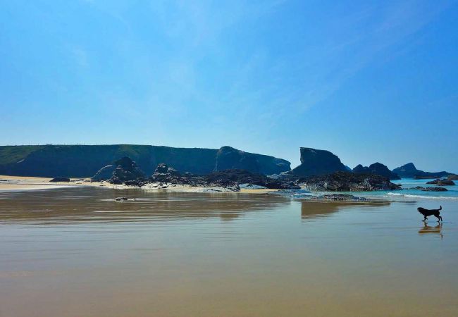 Cottage in Porthcothan Bay - Porthcothan Mill Cottage Cottage in Porthcothan Bay - Porthcothan Mill Cottage