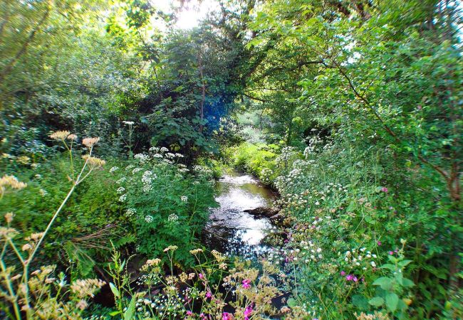 Cottage in Porthcothan Bay - Porthcothan Mill Cottage Cottage in Porthcothan Bay - Porthcothan Mill Cottage