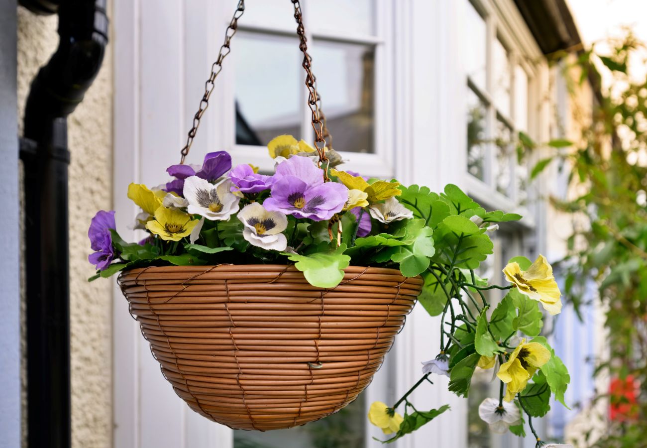 Cottage in Trefor - Penmaen House
