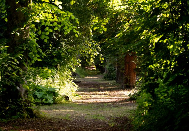 Chalet in Woolton Hill - Jungle Bell Tent Chalet in Woolton Hill - Jungle Bell Tent