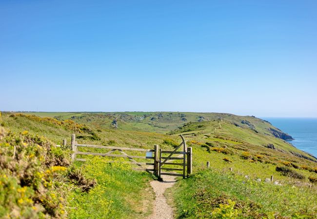 Appartement in Salcombe - Little Granary Appartement in Salcombe - Little Granary