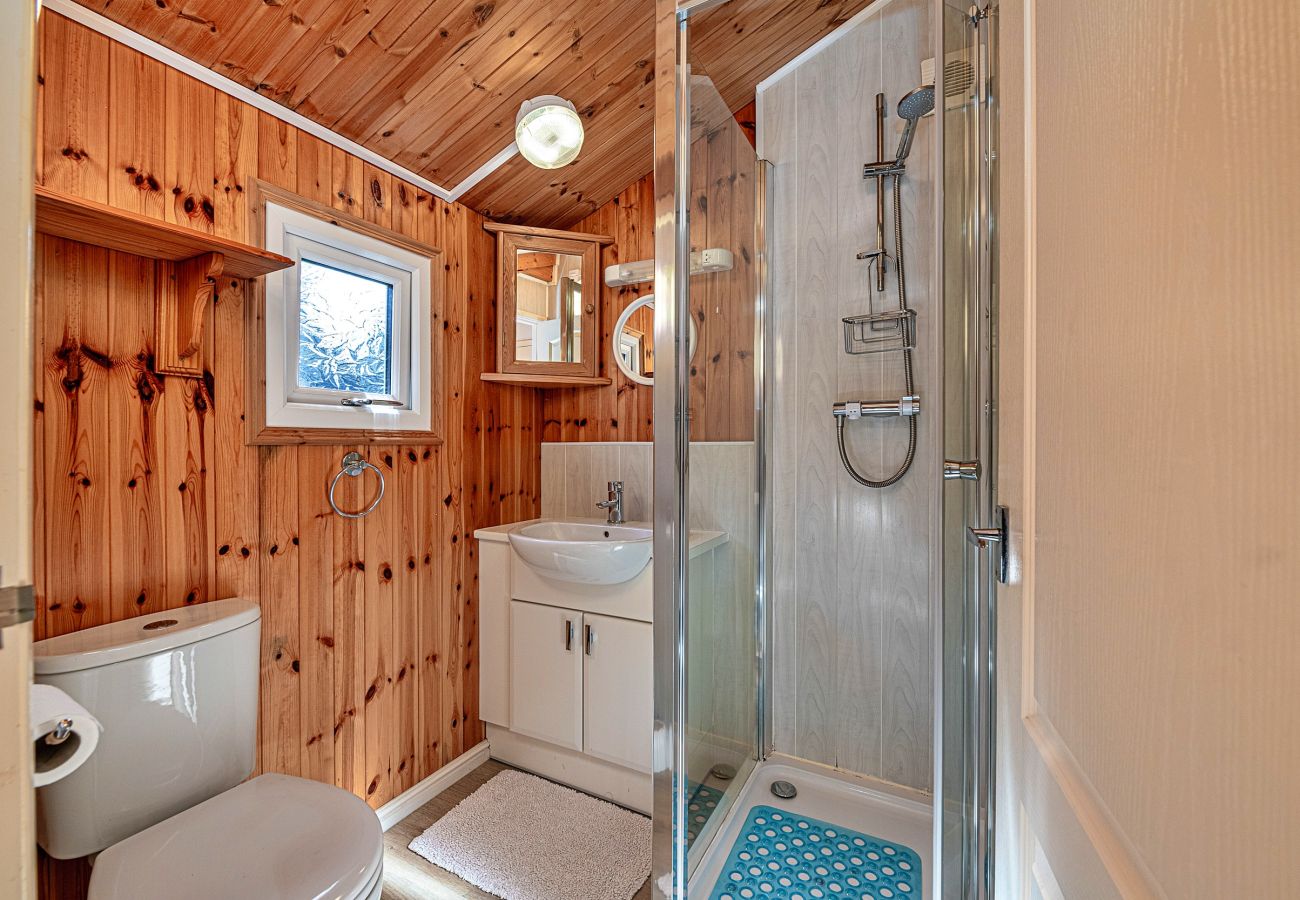 Houten huisje in Aberdesach - Bimbadeen Lodge