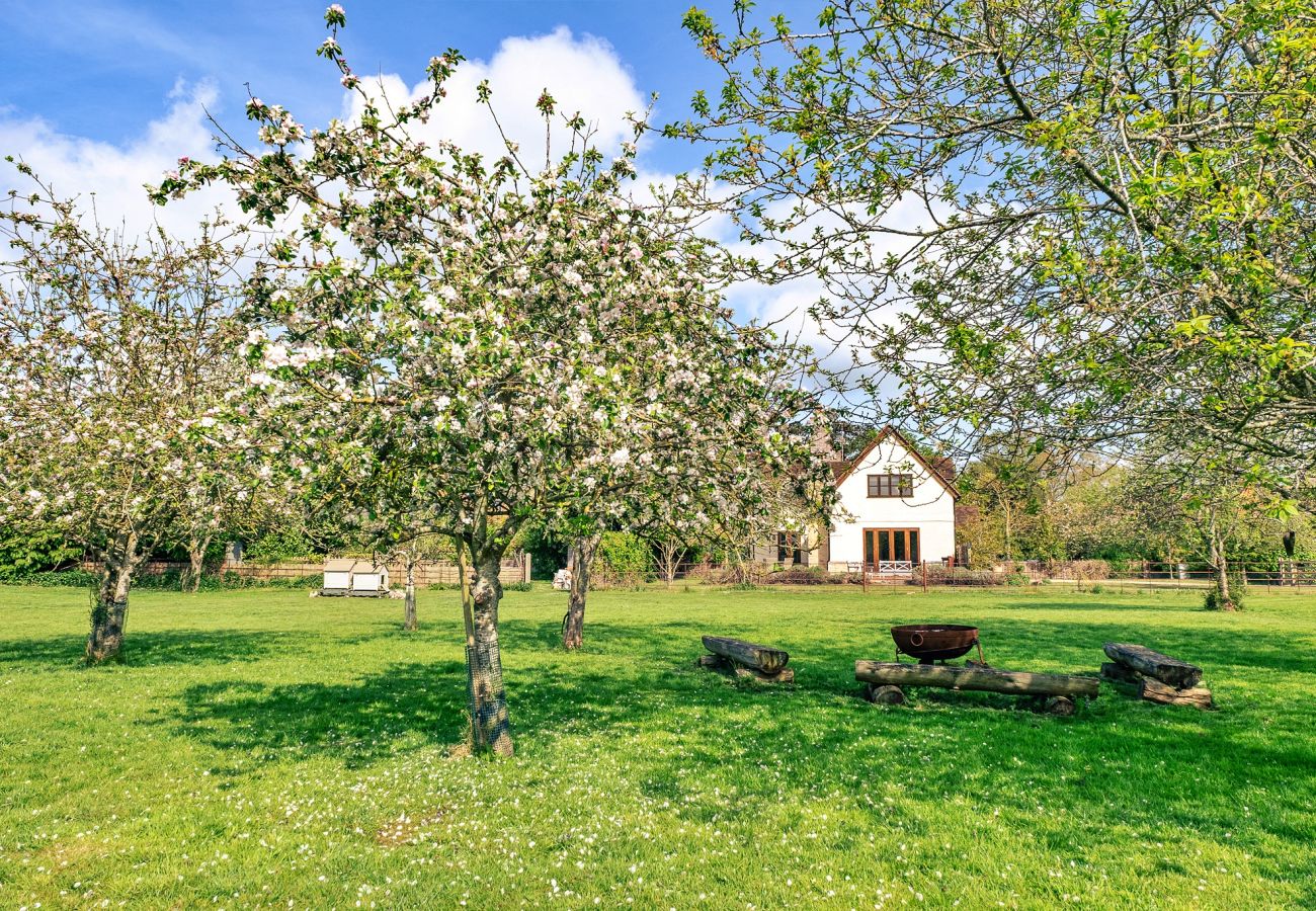 Cottage in Tewkesbury - Windfall Cottage