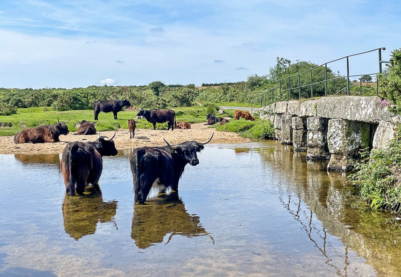 Appartement in St Breward - Stable Barn Apartment at Bodmin Moor