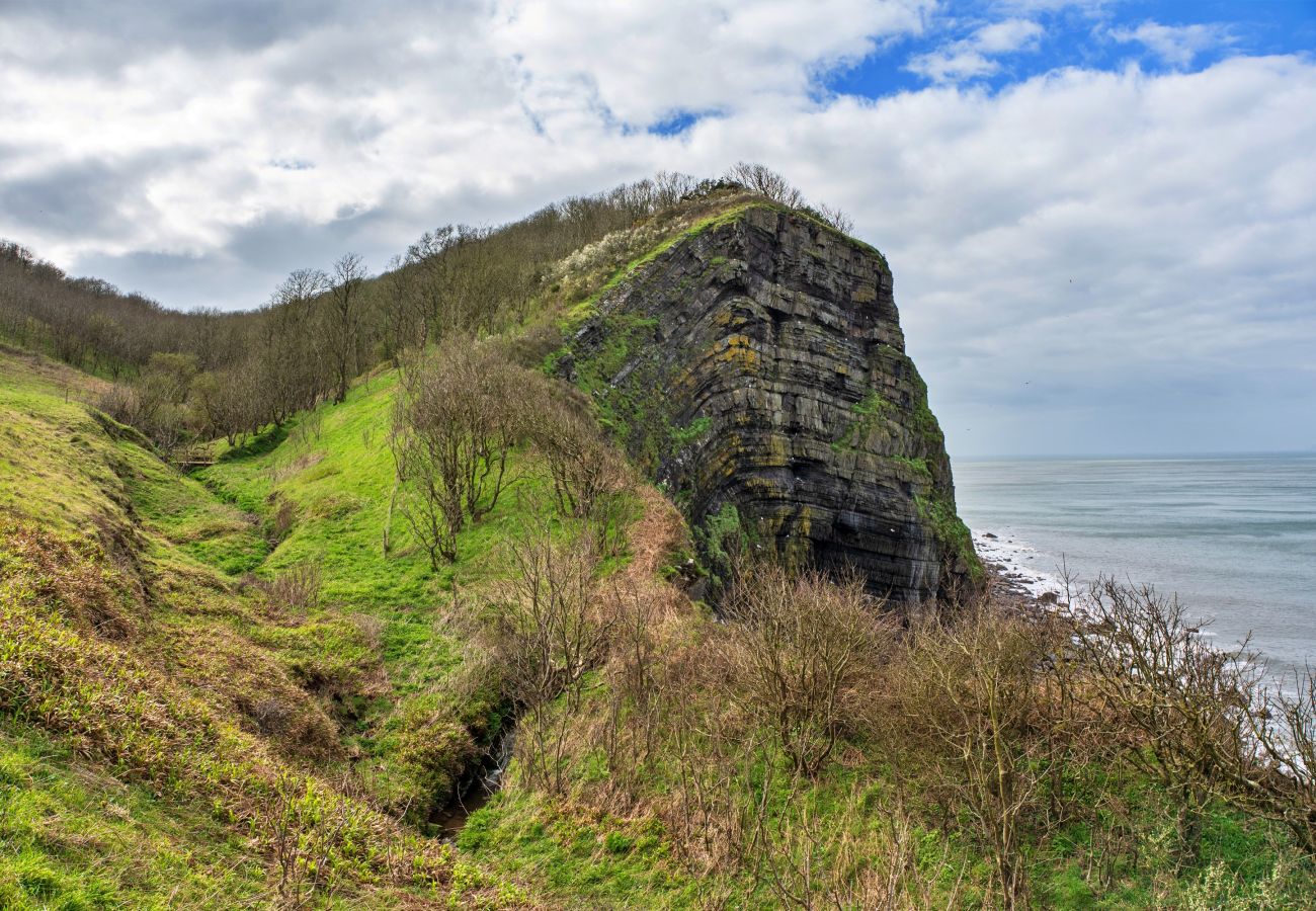 Cottage in Hartland - Hawthorn Barn