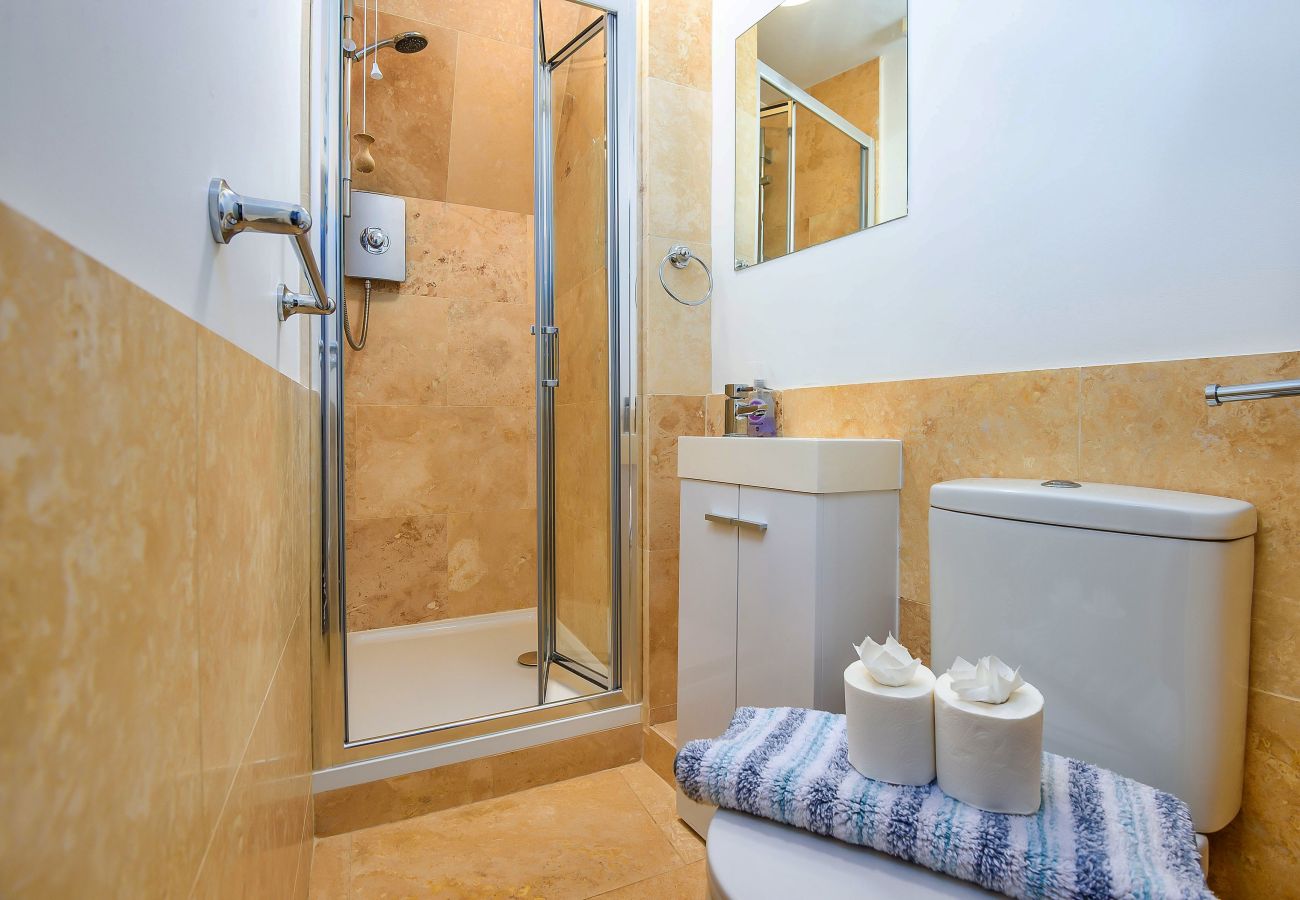 Studio in Whitby - Ukulele Studio