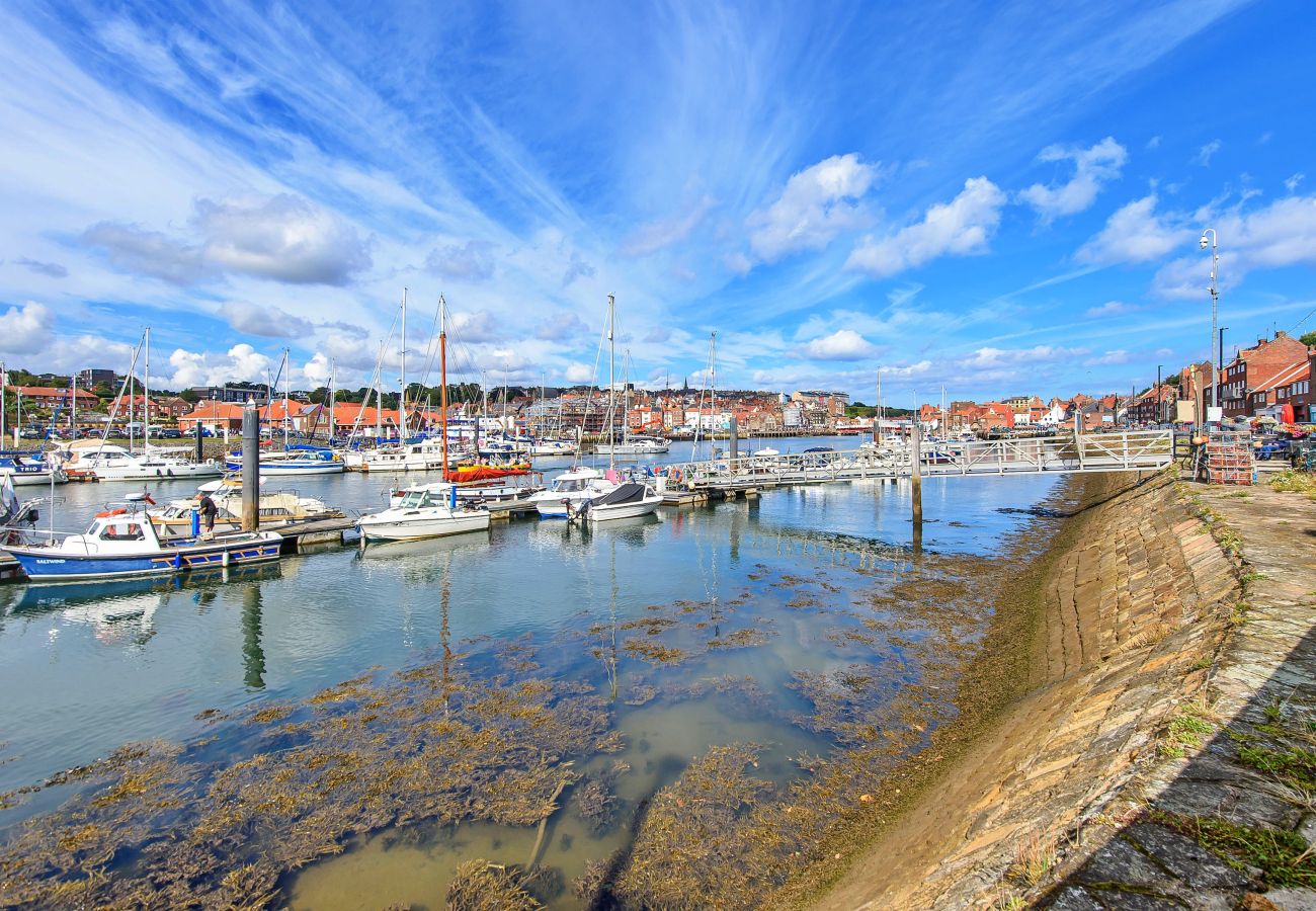 Studio in Whitby - Ukulele Studio