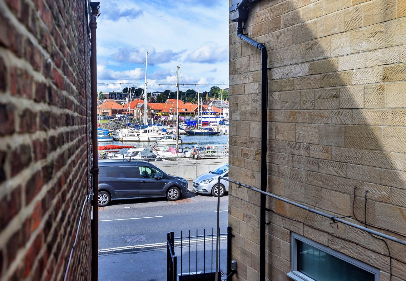 Studio in Whitby - Ukulele Studio