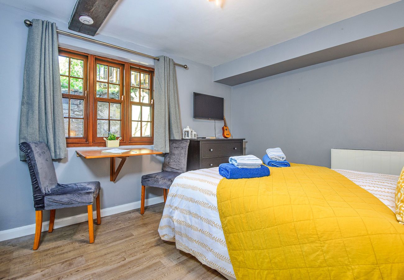 Studio in Whitby - Ukulele Studio