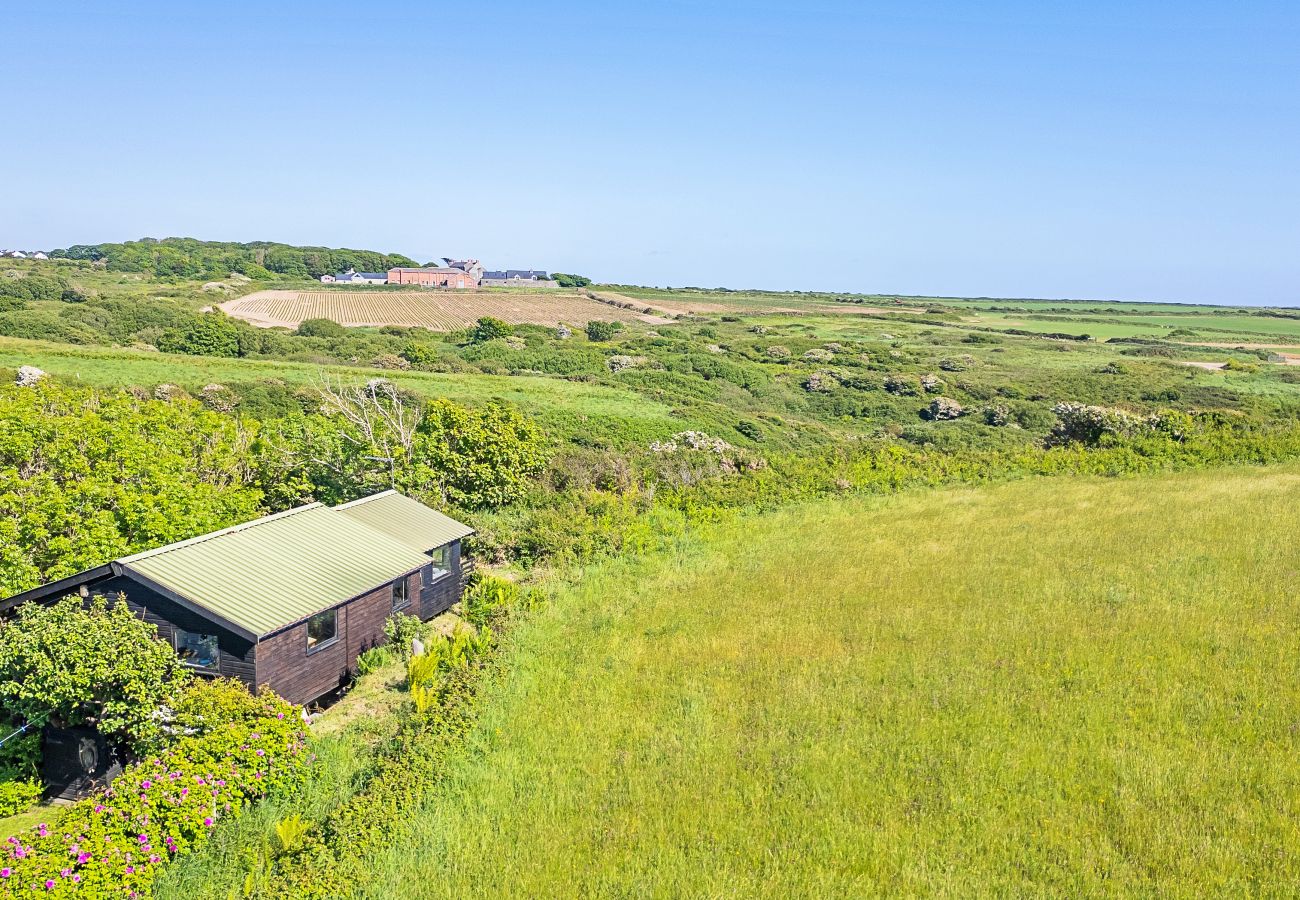 Houten huisje in Solva - The Tree House