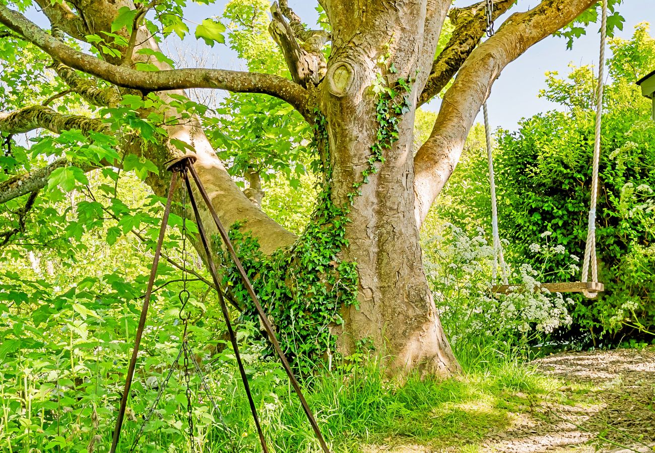 Houten huisje in Solva - The Woodland Shepherd's Hut