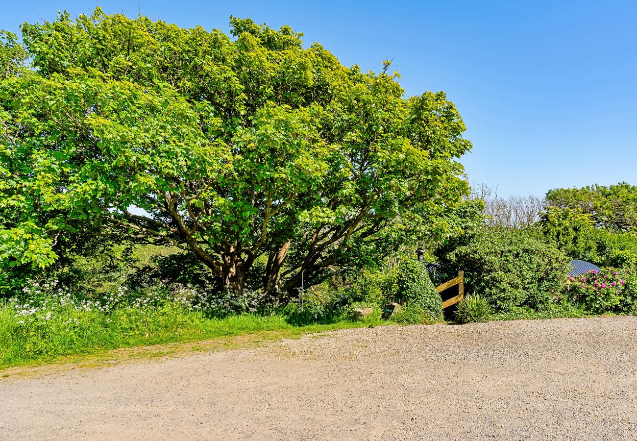 Houten huisje in Solva - The Woodland Shepherd's Hut