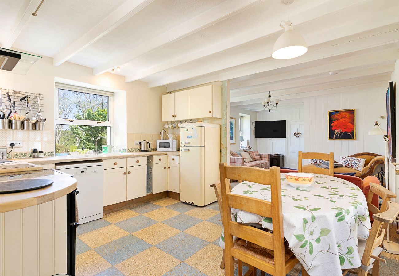 Cottage in Solva - The Pink House
