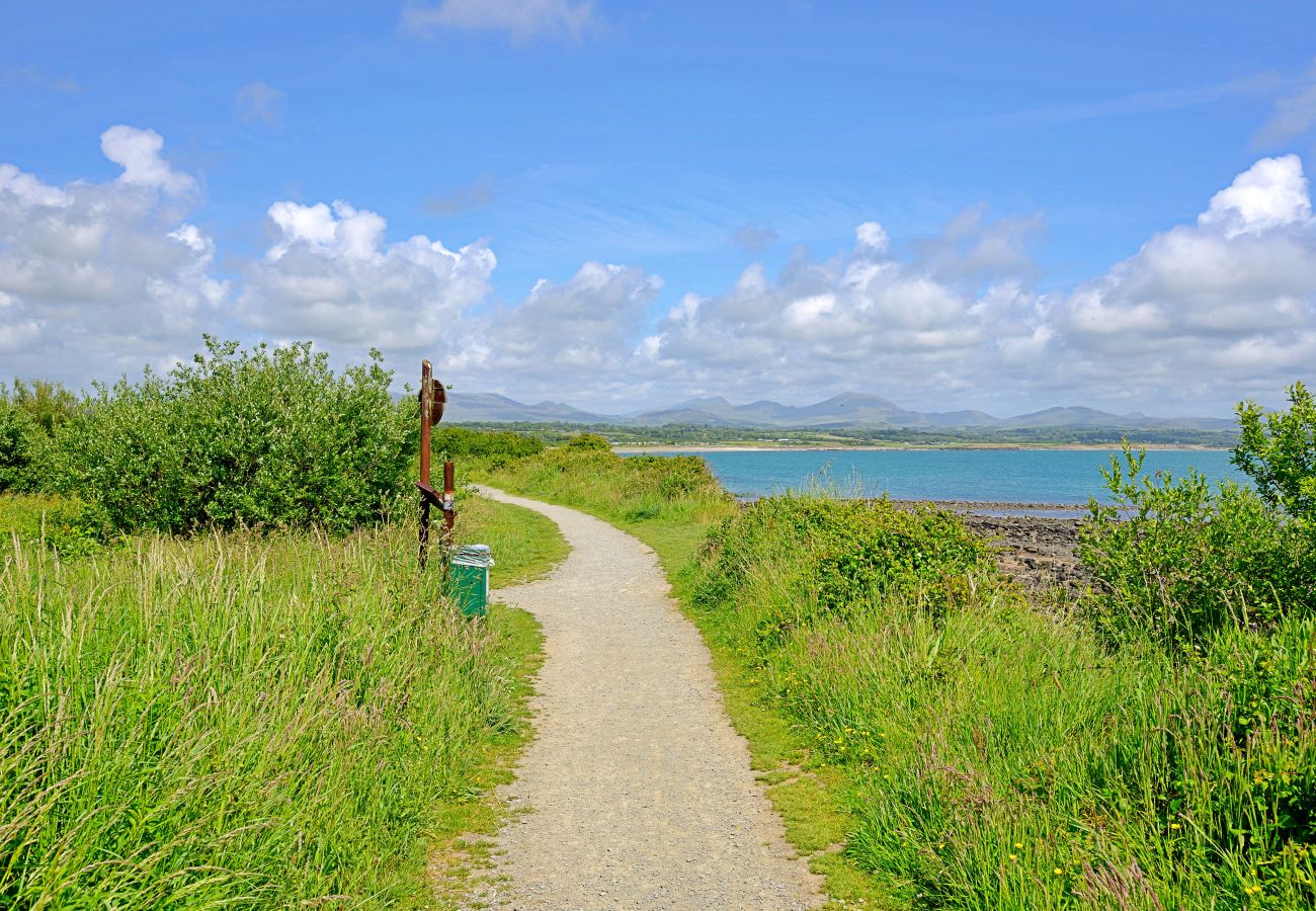 Houten huisje in Pwllheli - Forest Lodge