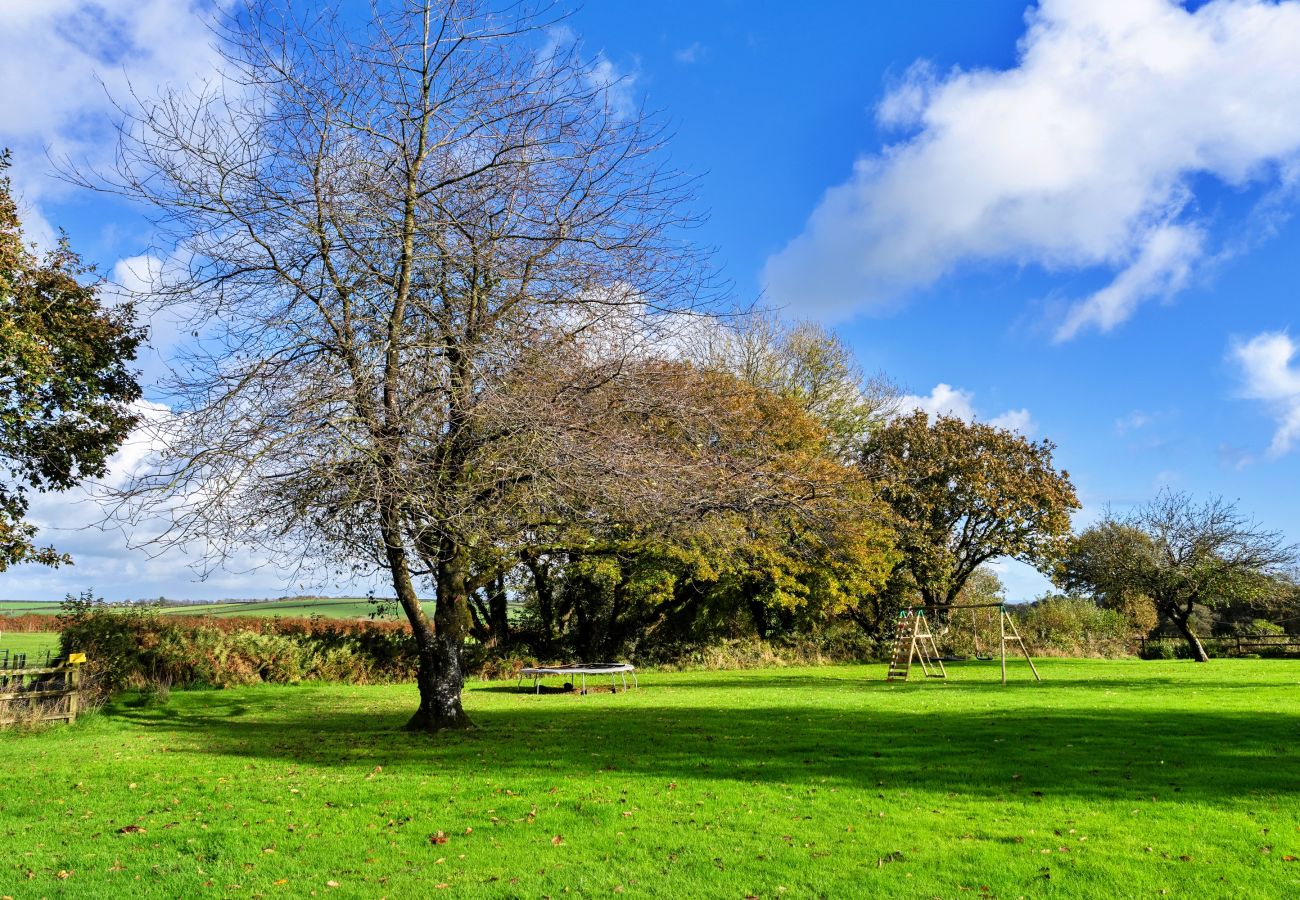 Cottage in Torrington - Halcyon Cottage, Stowford
