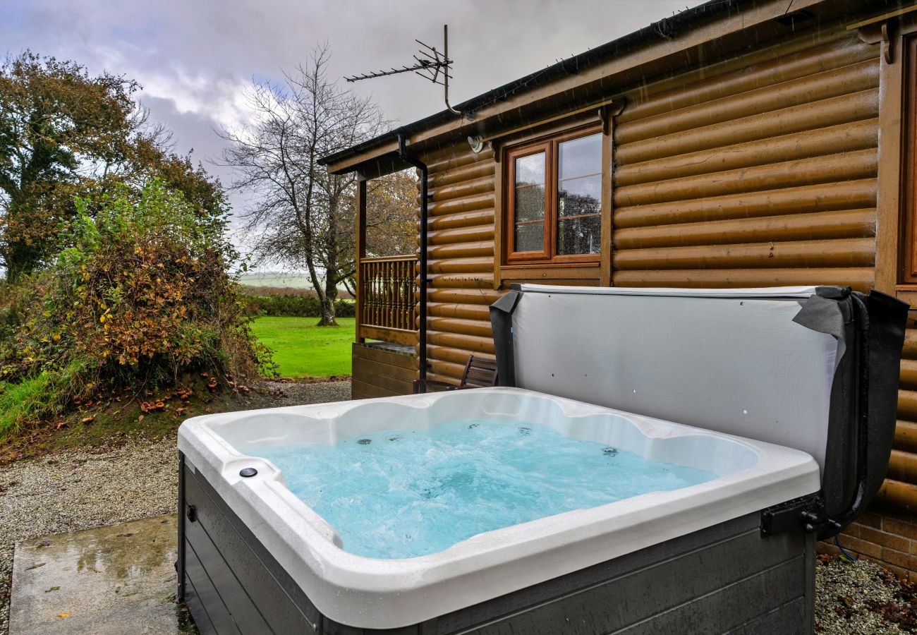 Houten huisje in Torrington - Tarka's Holt Log Cabin, Stowford