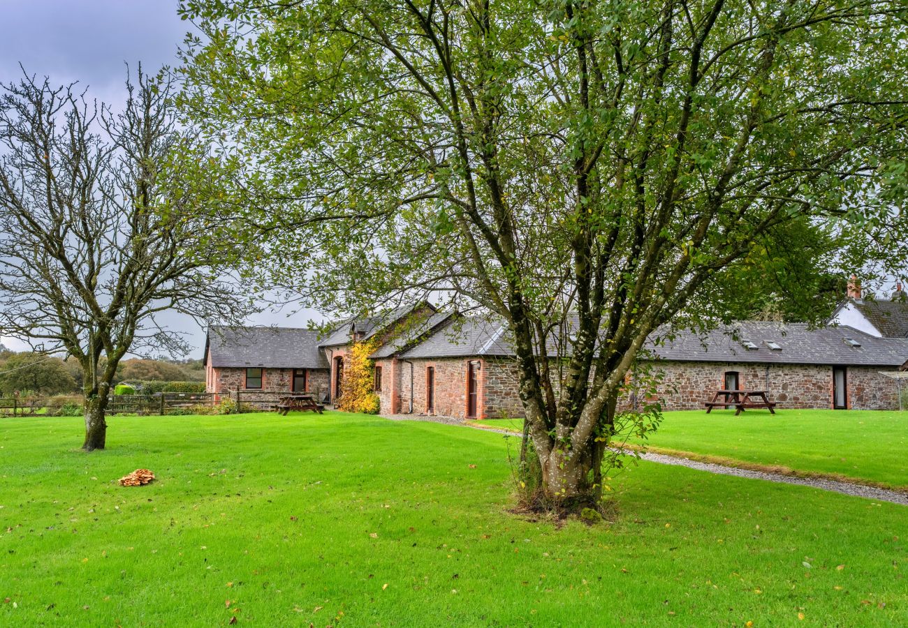 Cottage in Torrington - Warren Cottage, Stowford