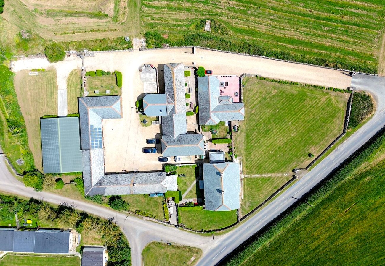 Cottage in Widemouth Bay - Olive Tree