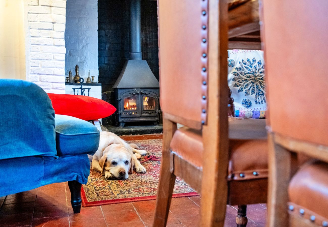 Cottage in Apperley - Cricketers' Cottage